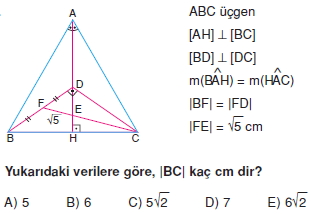 aciortay_kenarortay _konu_testi_11_012