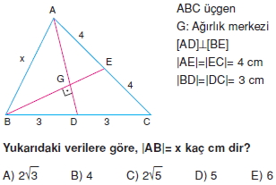 aciortay_kenarortay _konu_testi_11_013