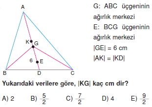 aciortay_kenarortay _konu_testi_11_014