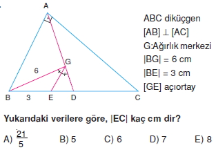 aciortay_kenarortay _konu_testi_11_014