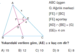 aciortay_kenarortay _konu_testi_11_015