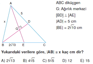 aciortay_kenarortay _konu_testi_11_016