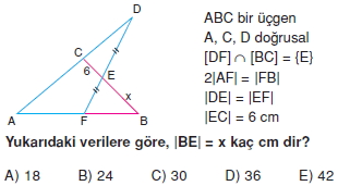 ucgende_benzerlık_cozumlu_test_2_005