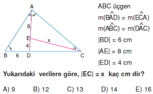 ucgende_benzerlık_test_6_003