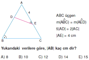 ucgende_benzerlık_test_6_007