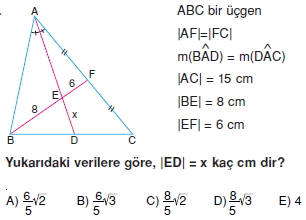 ucgende_benzerlık_test_6_014