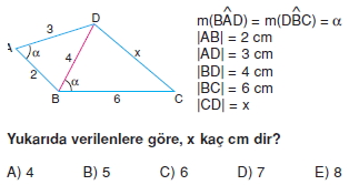 ucgende_benzerlık_cozumlu_test_1_003