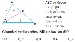 ucgende_benzerlık_cozumlu_test_1_007