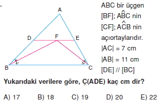 ucgende_benzerlık_cozumlu_test_1_013