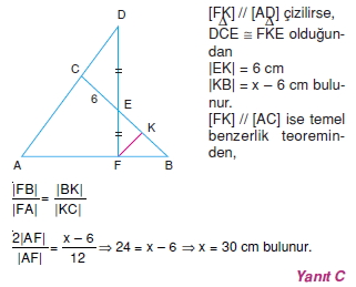 ucgende_benzerlık_cozumlu_test_2_005