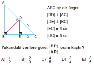 ucgende_benzerlık_cozumlu_test_2_009