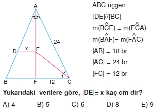 ucgende_benzerlık_test_1_004