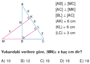 ucgende_benzerlık_test_3_014