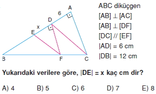 ucgende_benzerlık_test_4_016