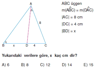 ucgende_benzerlık_test_5_001