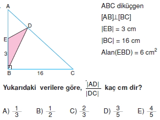 ucgende_benzerlık_test_5_011