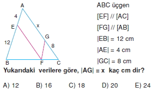 ucgende_benzerlık_test_6_008