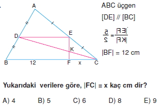 ucgende_benzerlık_test_8_012