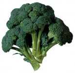 brokolibilgibirikimi