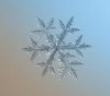 kar tanecikleri95