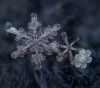 kar tanecikleri99