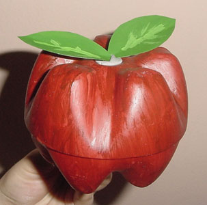 pet_siseden_neler_yapilir (10)