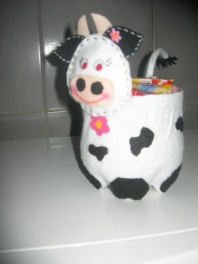 pet_siseden_neler_yapilir (2)